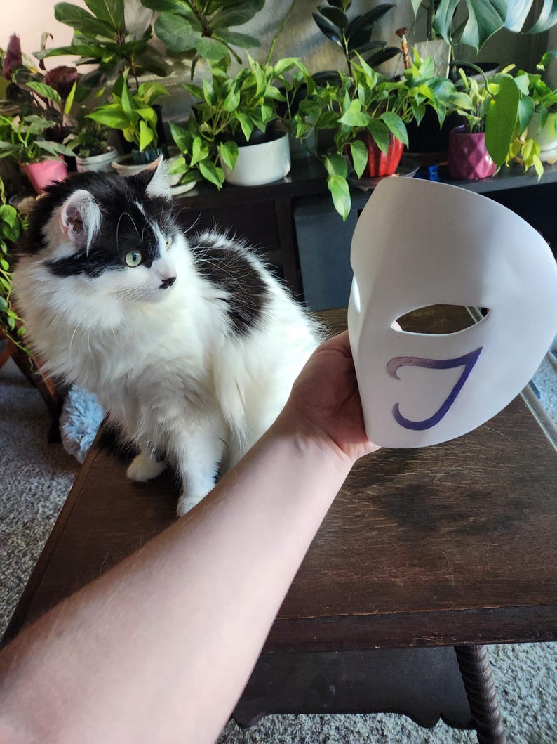 May include: A white masquerade mask with a purple design of a stylized letter J. The mask is being held by a hand in front of a black and white cat.