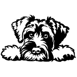 Könnte beinhalten: Schwarzweiß-Illustration eines kleinen, flauschigen Hundes mit struppigem Bart. Der Hund schaut direkt auf den Betrachter, seine Pfoten ruhen auf einer Oberfläche.