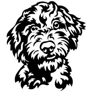 Könnte beinhalten: Schwarzweiß-Illustration eines flauschigen Hundes mit lockigem Fell. Der Hund schaut den Betrachter direkt an und hat einen freundlichen Ausdruck.