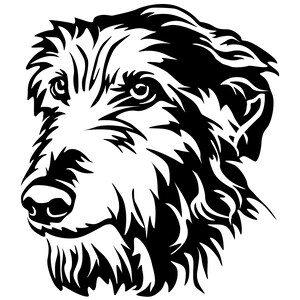 SCOTTISH DEERHOUND levriero - adesivo - adesivo cane di razza - adesivo auto - testa di levriero scozzese - adesivo n. 3415