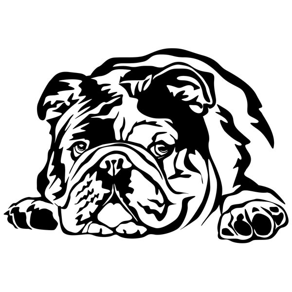 ENGLISCHE BULLDOGGE - Aufkleber - Autoaufkleber - sticker - Englische Bulldogge Kopf #4278