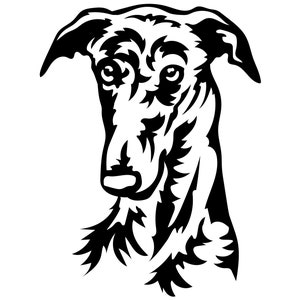 GALGO Spanish Greyhound - Sticker - Purebred Dog Sticker - Car Sticker - sticker - Galgo Head #3250