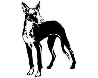 PODENCO - sticker - car sticker - sticker #4225