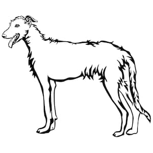 GALGO Spanish Greyhound - Sticker - Purebred Dog Sticker - Car Sticker - Wire-haired Galgo sticker #4326
