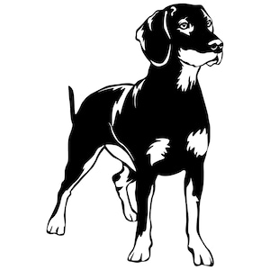 SLOVENSKY KOPOV Black Wild Hound - Sticker - Purebred Dog Sticker - Car Sticker - sticker #4232