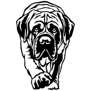 Op de afbeelding: Zwart-witte illustratie van de kop van een Mastiff-hond. De hond kijkt de kijker recht aan met een serieuze uitdrukking.