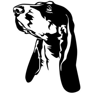BERNER LAUFHUND Swiss Hound - Sticker - Purebred Dog Sticker - Car Sticker - sticker - Bernese Hound Head #3837