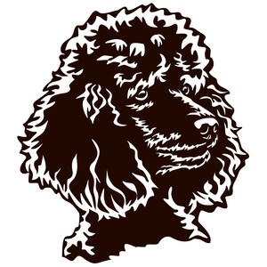 PUDEL Standaardpoedel - Sticker - Rashondsticker - Autosticker - Sticker - Poedelkop #3633