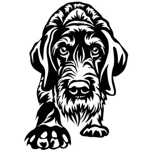 Könnte beinhalten: Schwarz-weiß-Illustration eines Hundekopfes und der Vorderpfoten. Der Hund hat eine lange Schnauze und herabhängende Ohren.