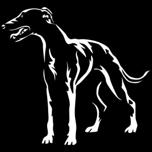 WHIPPET greyhound sticker - purebred dog sticker - car sticker - sticker #5606