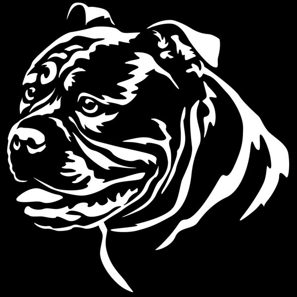 OLD ENGLISH BULLDOG Englische Bulldogge Continental Bulldog Aufkleber - Autoaufkleber - Kopf Old English Bulldog - sticker #5137