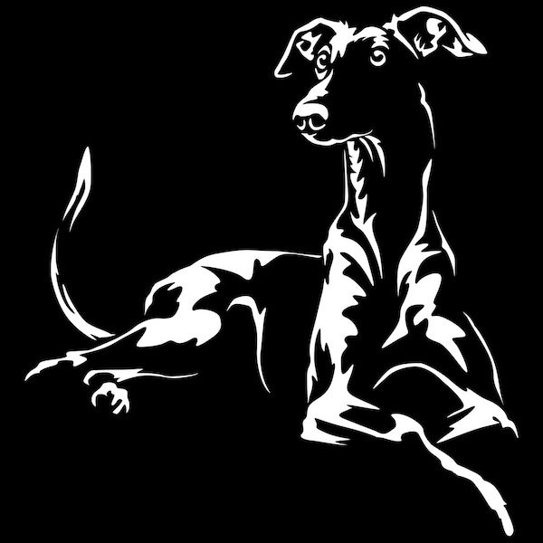 GALGO Spanischer Windhund Aufkleber - Autoaufkleber - sticker #5671