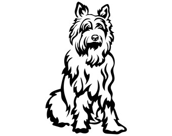 Picard Riker 2024 Die Cut Decal / Sticker Pick Color - Etsy