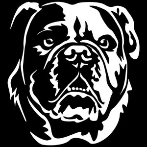CONTINENTAL BULLDOG English Bulldog Continental Bulldog Decal - Bumper Sticker - Head Continental Bulldog - sticker #5062