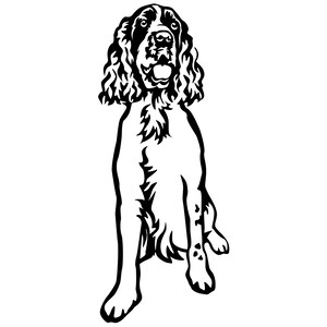 ENGLISH SPRINGER SPANIEL - Sticker - Purebred Dog Sticker - Car Sticker - sticker #4460