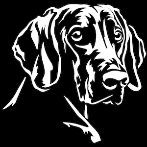 WEIMARANER sticker - purebred dog sticker - car sticker - Weimaraner head - sticker #5886