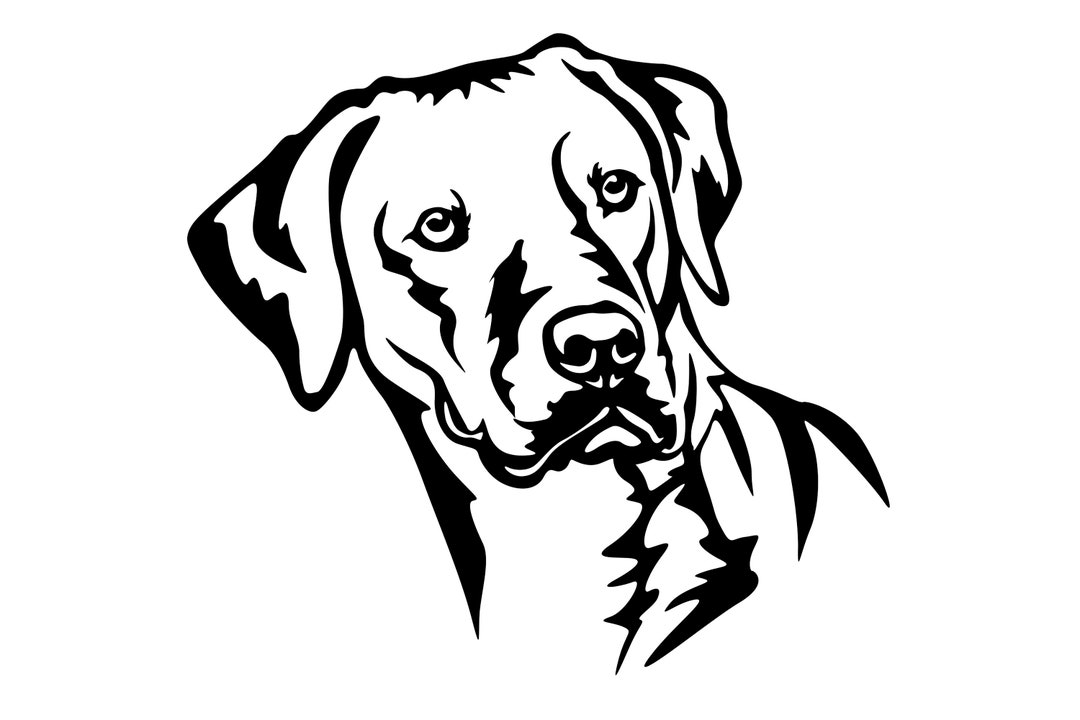RHODESIAN RIDGEBACK - Sticker - Purebred Dog Sticker - Car Sticker ...