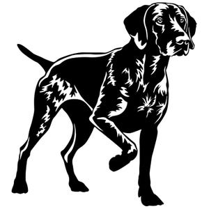 German Shorthaired Pointer - Sticker - Purebred Dog Sticker - Car Sticker - German Shorthaired Pointer sticker #40056