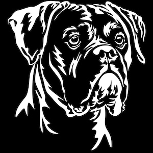BOXER sticker - purebred dog sticker - car sticker - sticker German Boxer head #BE3656