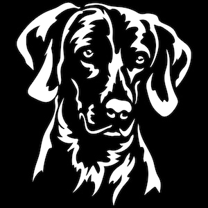 WEIMARANER sticker - purebred dog sticker - car sticker - Weimaraner head - sticker #5270