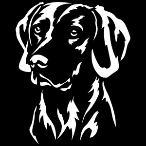WEIMARANER sticker - purebred dog sticker - car sticker - Weimaraner head - sticker #5269