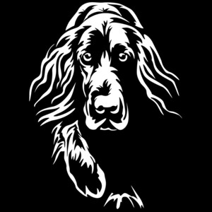 Könnte beinhalten: Schwarz-Weiß-Illustration eines Hundes, wahrscheinlich ein Setter, mit detailliertem Fell und ausdrucksstarken Augen. Der Hund wird in einer nach vorne gerichteten Pose mit ausgestreckter Vorderpfote dargestellt.