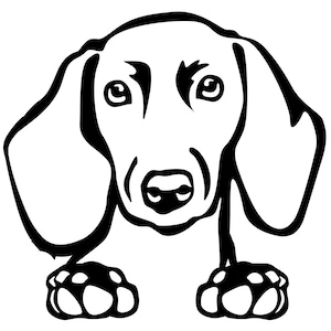 DACKEL short-haired dachshund teckel sticker car sticker dachshund head with paws sticker 3104 image 1