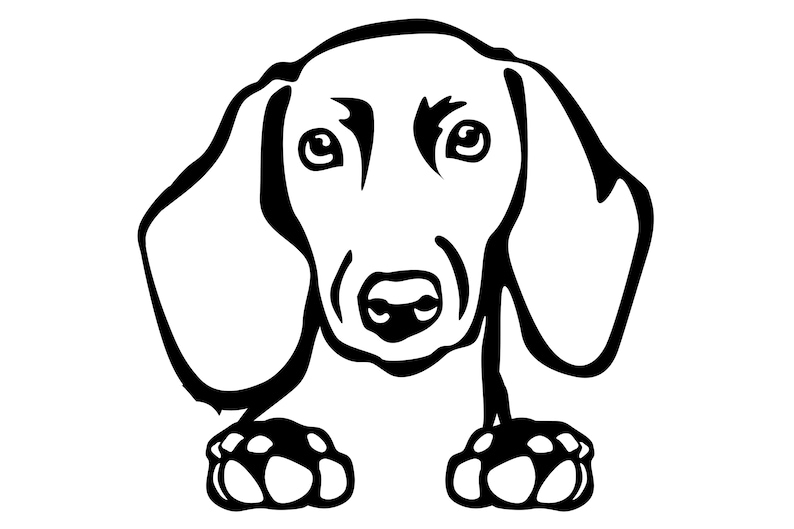 DACKEL short-haired dachshund teckel sticker car sticker dachshund head with paws sticker 3104 image 1
