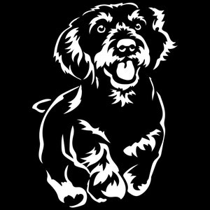 DACKEL Teckel Rauhaardackel Aufkleber - Rassehund Aufkleber  - Autoaufkleber - sticker #5507