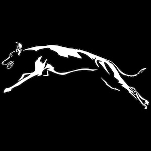 GALGO Spanish Greyhound Sticker - Purebred Dog Sticker - Car Sticker - sticker #5011