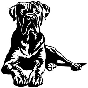 Könnte beinhalten: Schwarz-weiß-Silhouettenillustration eines Hundes einer großen Rasse, der sich hinlegt. Der Hund hat ein kurzes, glattes Fell und einen großen Kopf mit einer faltigen Stirn.