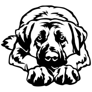 KANGAL Anatolischer Hirtenhund Karabash - Aufkleber - Autoaufkleber - sticker - Coban Köpegi Aufkleber #4848