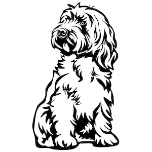 Könnte beinhalten: Schwarz-weiß-Linienzeichnung eines sitzenden Hundes mit struppigem Fell. Der Hund schaut nach oben und hat eine lange Schnauze.