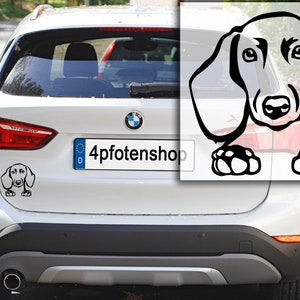 DACKEL short-haired dachshund teckel sticker car sticker dachshund head with paws sticker 3104 image 2