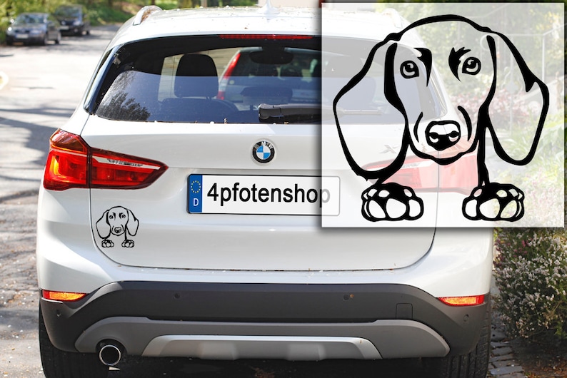 DACKEL short-haired dachshund teckel sticker car sticker dachshund head with paws sticker 3104 image 2