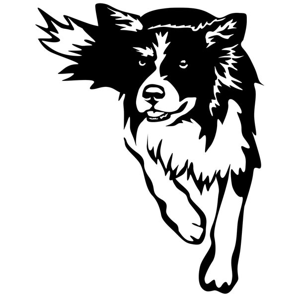 BORDER COLLIE - Aufkleber - Autoaufkleber - sticker #4084