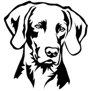 WEIMARANER - Sticker - purebred dog sticker - car sticker - sticker Weimaraner head #3909