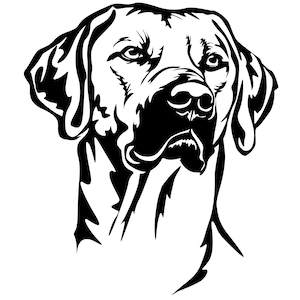 RHODESIAN RIDGEBACK - Sticker - purebred dog sticker - car sticker - sticker - Ridgeback head #3572
