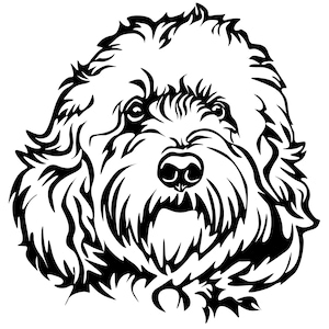 Può includere: Illustrazione in bianco e nero di un cane in stile line art. Il cane ha un pelo soffice e riccio e un'espressione amichevole.