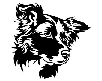 BORDER COLLIE - sticker - bumper sticker - sticker Border Collie Head #3569