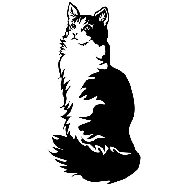 NORWEGISCHE WALDKATZE schwarz-weiße Katze - Aufkleber - Autoaufkleber Katzenaufkleber geeignet für helle Hintergründe - sticker #7052