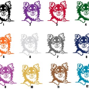 Holographischer Dog On Board Aufkleber - 18cm, Wasserfest, Für Auto & Laptop