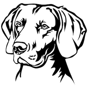 WEIMARANER - Sticker - purebred dog sticker - car sticker - sticker Weimaraner head #3692