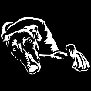GALGO Spanish Greyhound Sticker - Purebred Dog Sticker - Car Sticker - sticker #5284