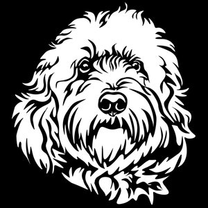 May include: A black and white illustration of a fluffy dog with curly hair. The dog is looking directly at the viewer with its mouth closed.