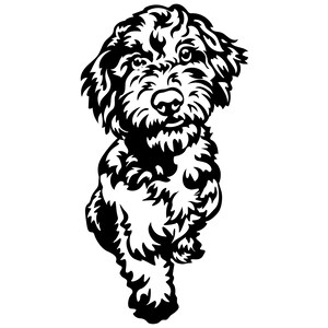Könnte beinhalten: Schwarzweiß-Illustration eines flauschigen Hundes mit lockigem Fell. Der Hund schaut den Betrachter direkt an und hat einen verspielten Ausdruck.