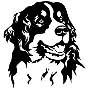 BERNER SENNENHUND - Aufkleber - Rassehund Aufkleber  - Autoaufkleber - sticker - Berner Sennenhund Kopf #3053