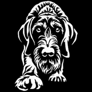 Könnte beinhalten: Schwarz-weiße Grafik eines Hundes, vermutlich ein Deutsch Drahthaar, vor schwarzem Hintergrund. Das Bild zeigt das Gesicht und die Vorderpfoten des Hundes in weißen Linien, wobei seine Merkmale hervorgehoben werden.
