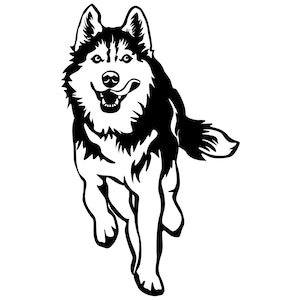 Könnte beinhalten: Schwarz-weiße Illustration eines laufenden Siberian Husky-Hundes mit fröhlichem Ausdruck. Der Hund wird in einer dynamischen Pose dargestellt, mit offenem Maul und sichtbarer Zunge. Das Kunstwerk ist ein klares, grafisches Design.