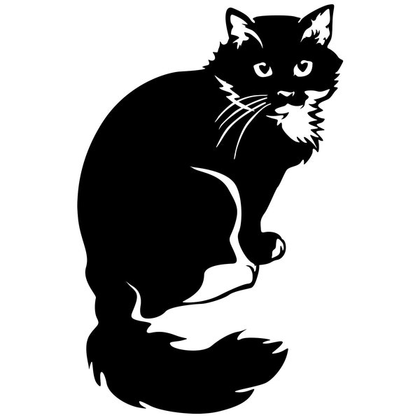 NORWEGISCHE WALDKATZE schwarz weiße Katze - Aufkleber - Autoaufkleber Katzenaufkleber geeignet für helle Hintergründe - sticker #7064